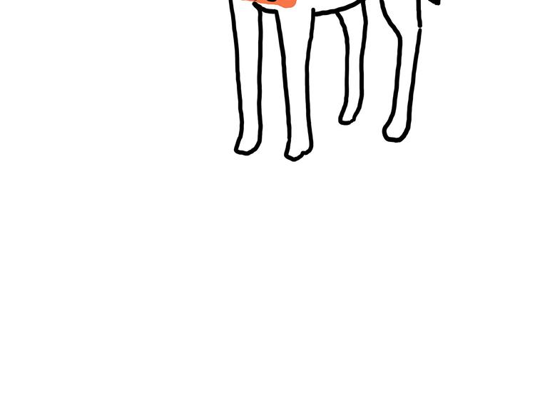 舞狮迎新年0