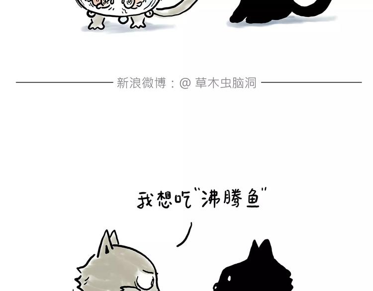 鸵鸟的秘密3