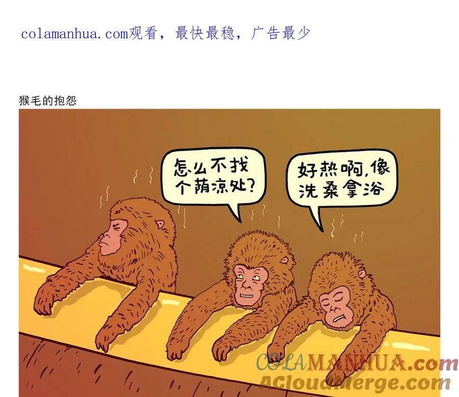 绘心婚恋石家庄漫画,第433话 猴毛的抱怨1图