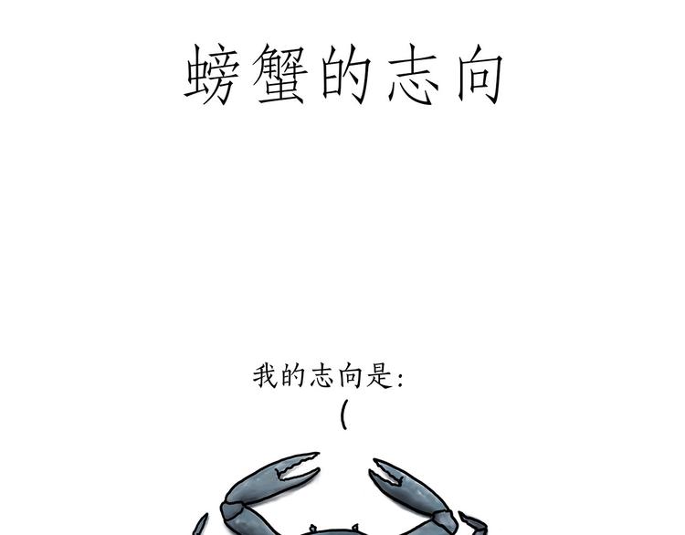 巧手小马4