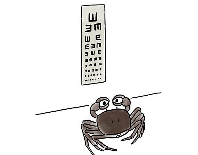 绘心绘意是什么意思漫画,师傅的庆功宴5图