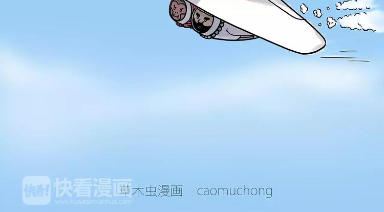 啄木鸟看病1