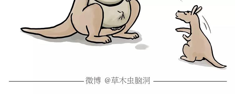 斗牛4
