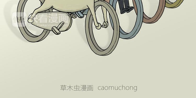 共享单车3