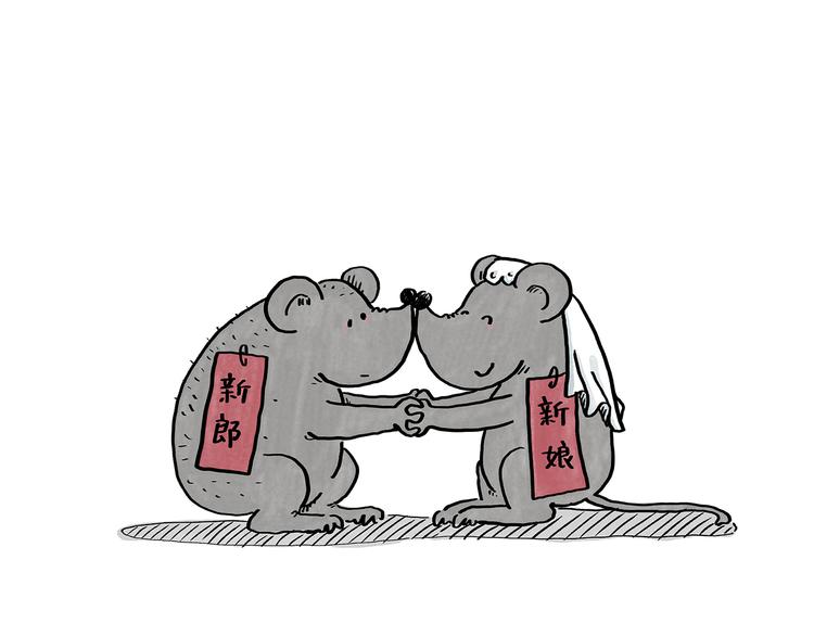 绘心绘意是什么意思漫画,第185话 大猪蹄子5图