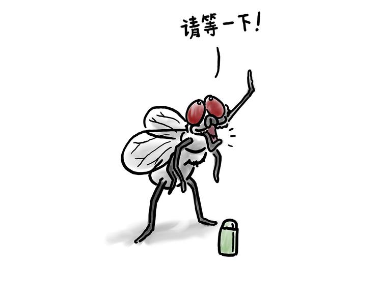 绘心系列绘本漫画,拖马师4图