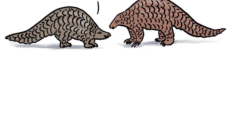 绘心绘意是什么意思漫画,保护八戒5图