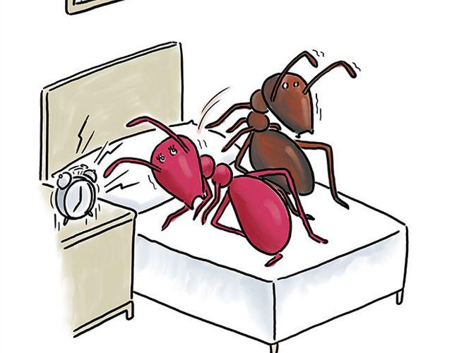 绘心婚恋石家庄漫画,师傅搞怪4图