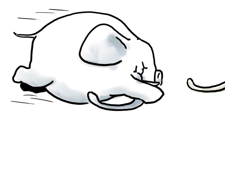 绘心一笑完整漫画,舞狮迎新年4图