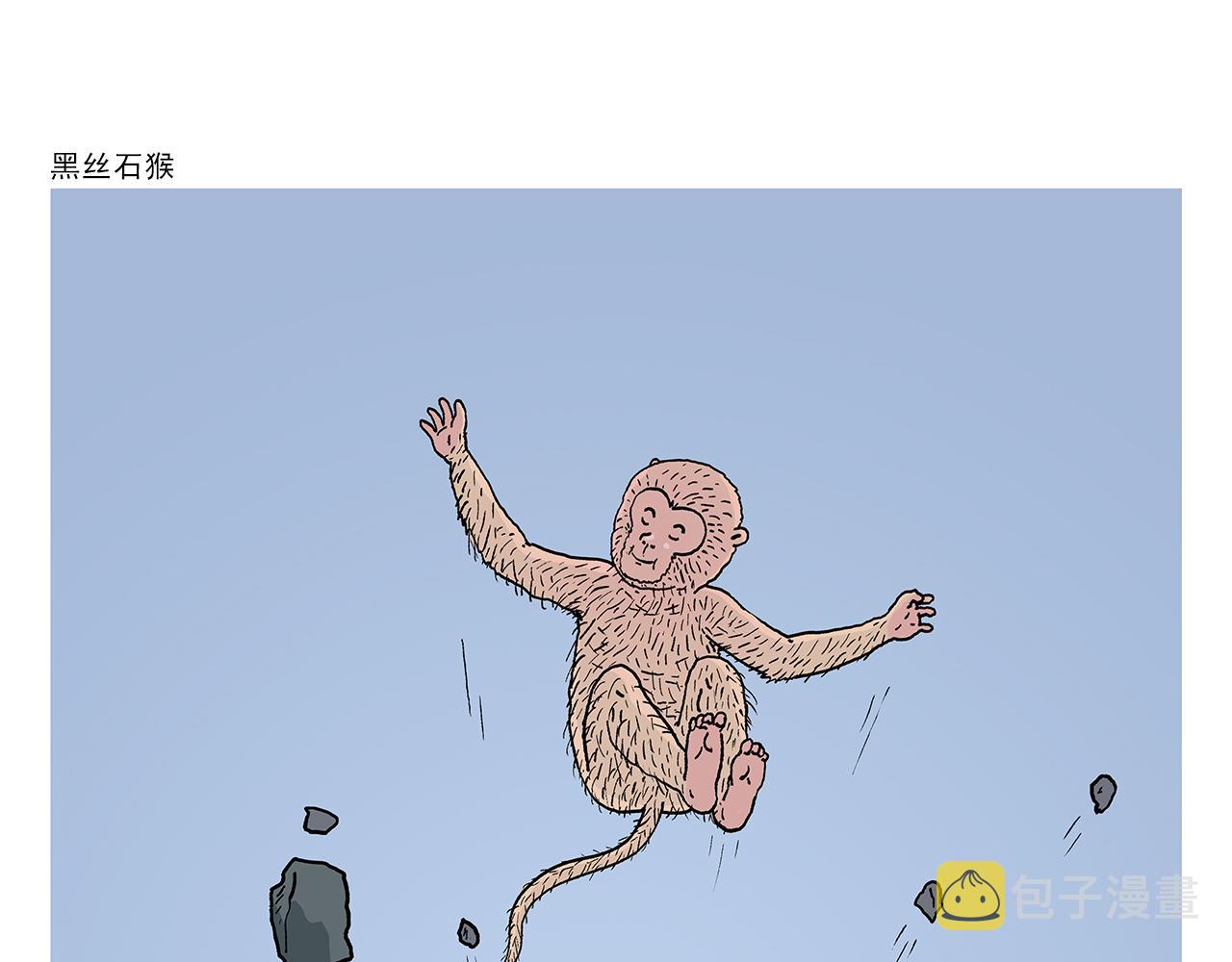 绘心文梦含义漫画,第403话 黑丝石猴1图