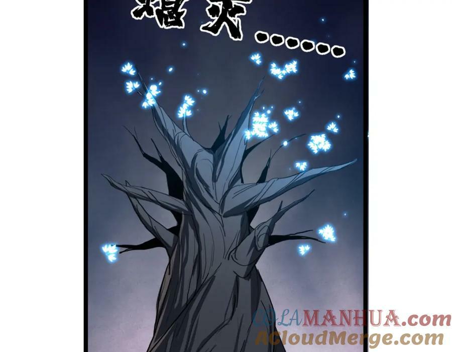 105 死人树4