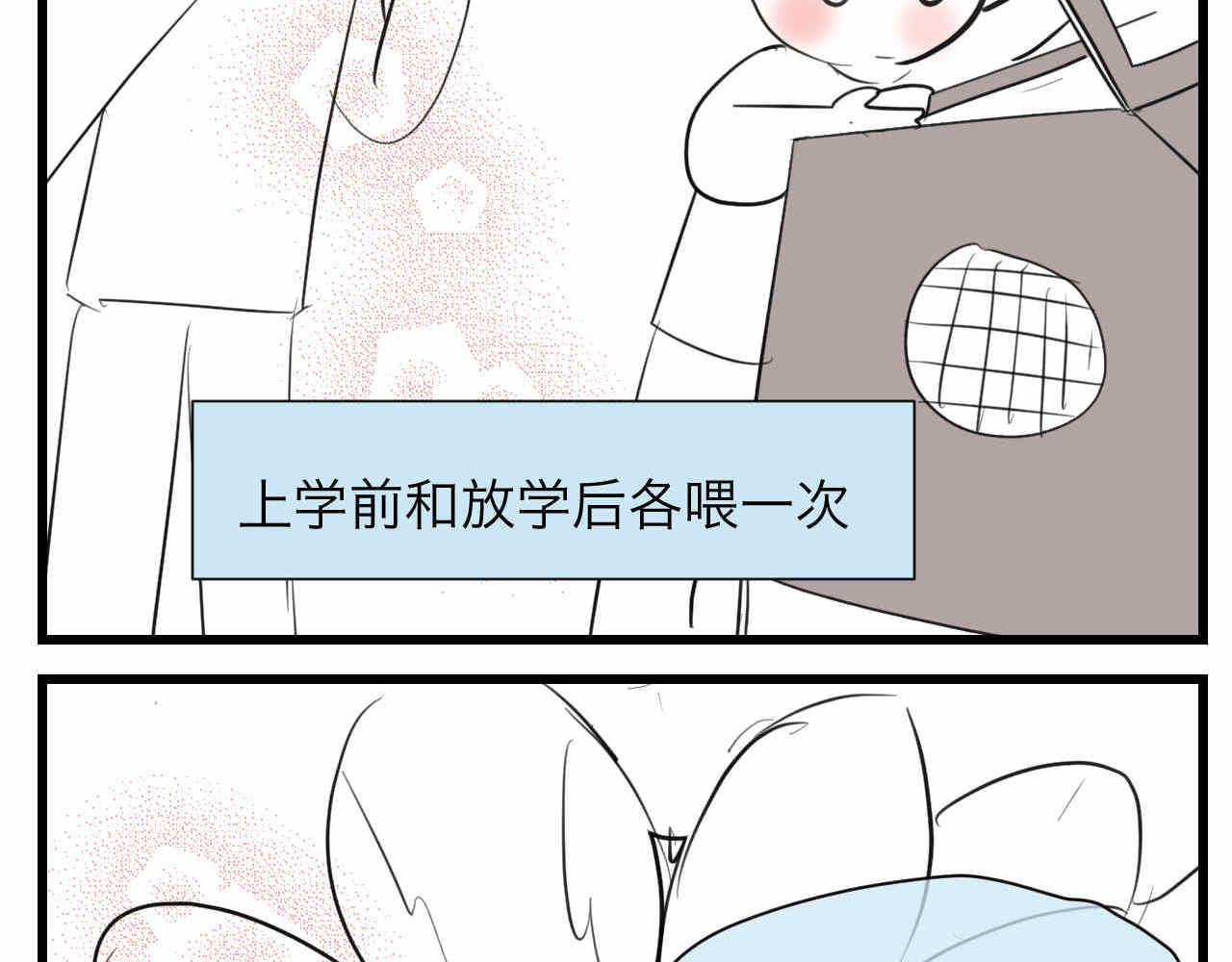 81.网红小鸡2