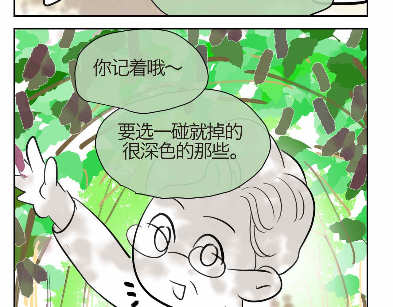 35.桑果园4