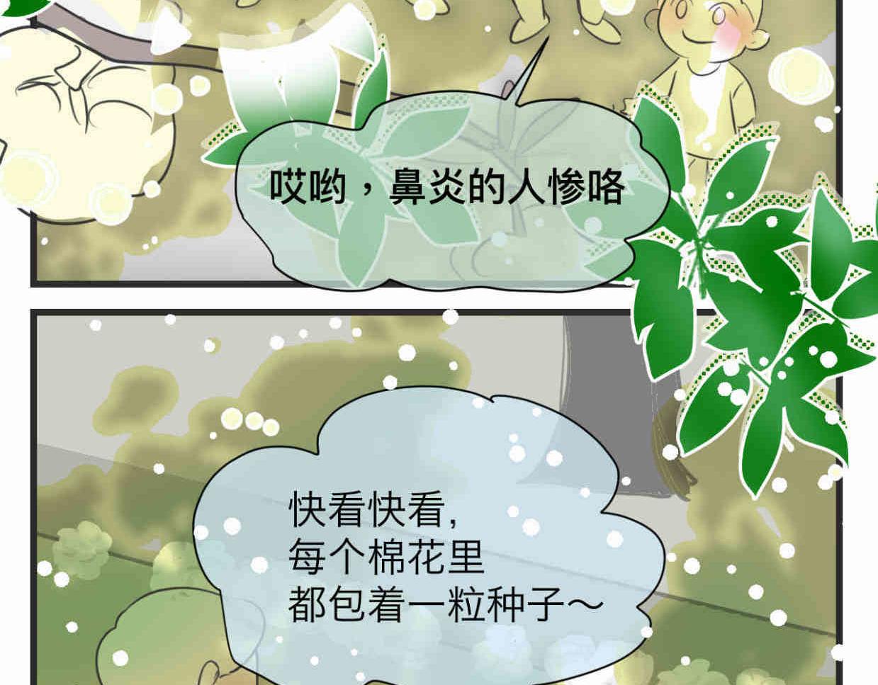 第一次做妈妈请你多担待唯美句子漫画,113.木棉花的种子2图