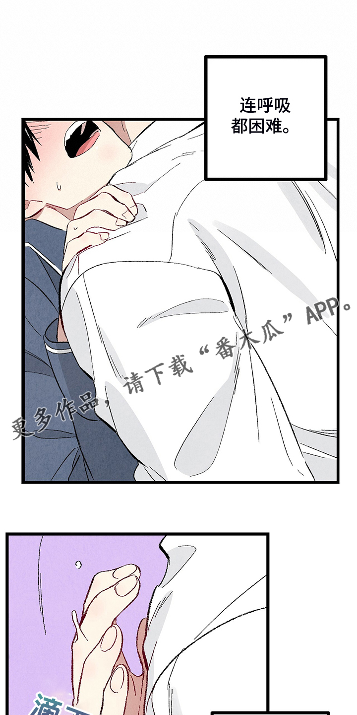 完美伴侣演员表漫画,第84话1图