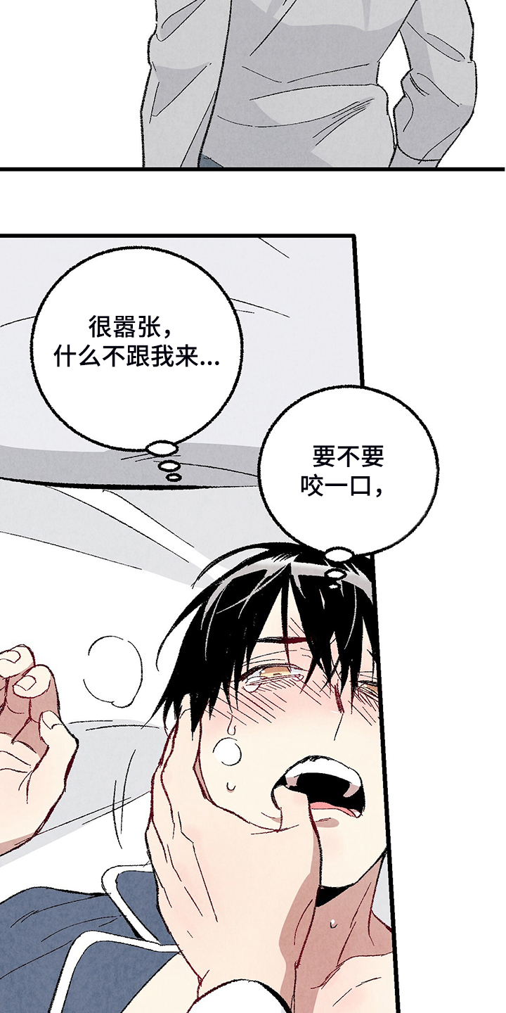 完美伴侣演员表漫画,第84话5图