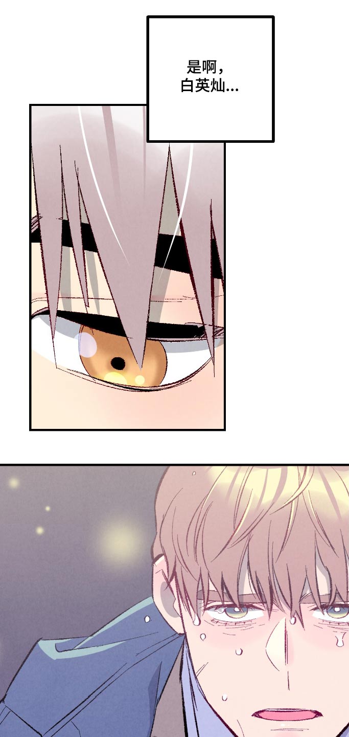 完美密友拍档漫画漫画,第177话4图