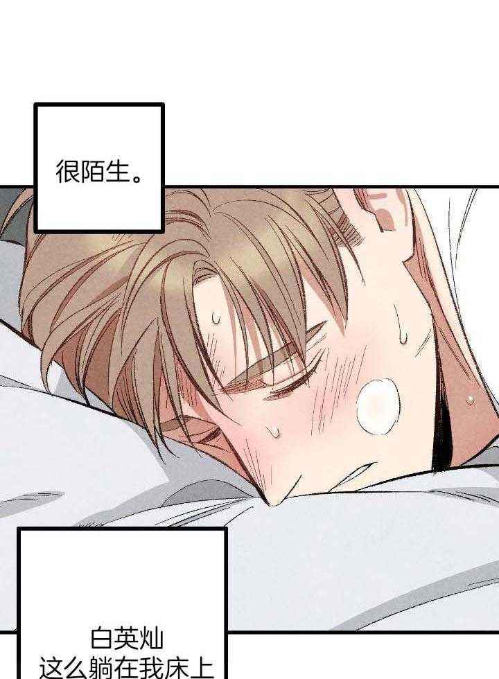 完美密友拍档漫画漫画,第75话1图