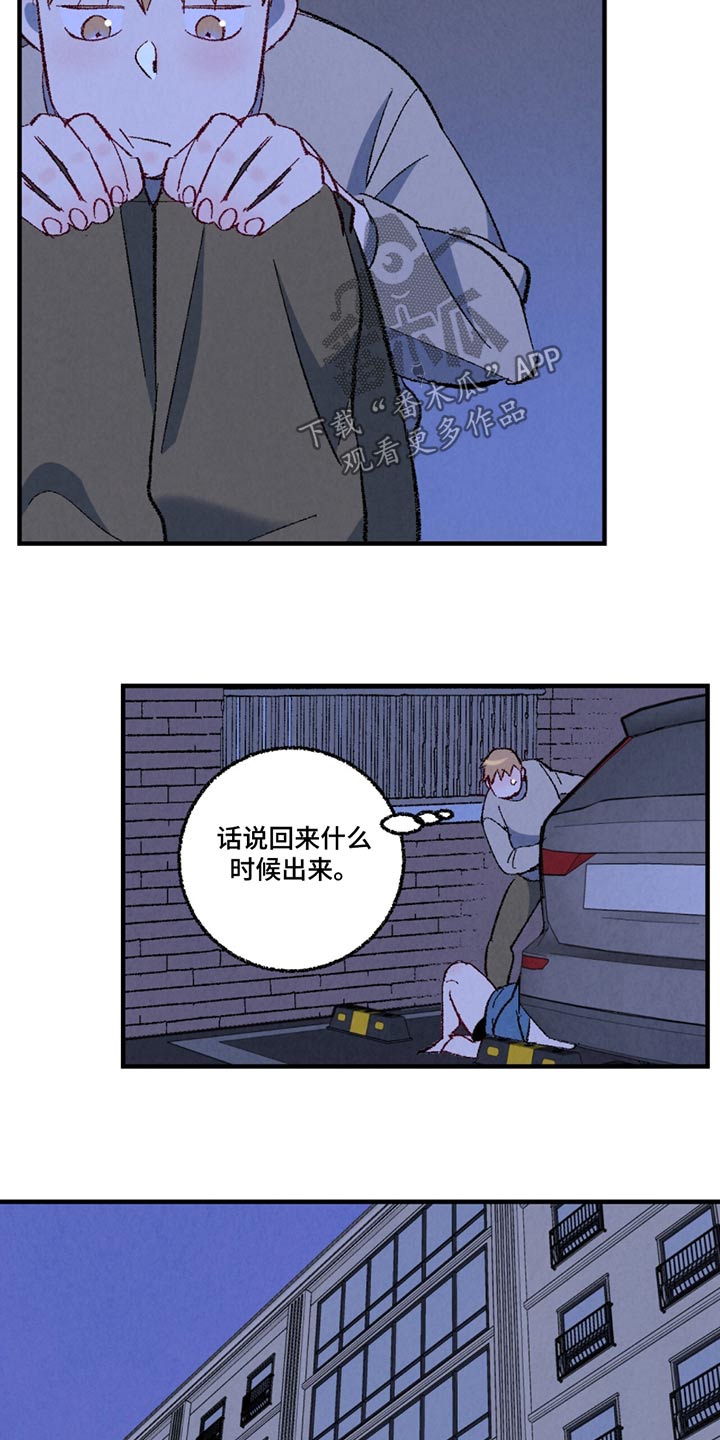完美伴侣演员表漫画,第159话4图