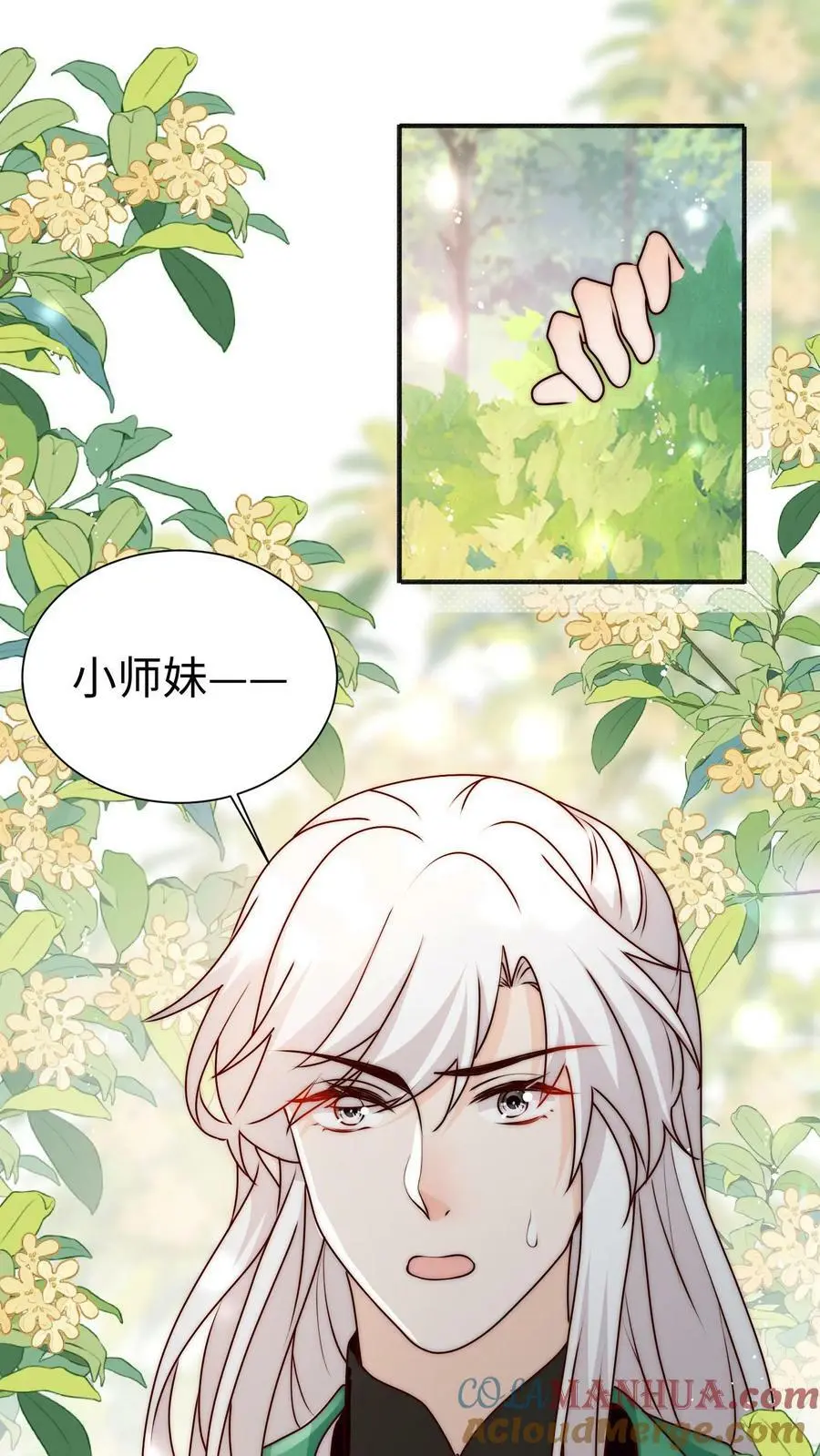 第84话 团宠小师妹4