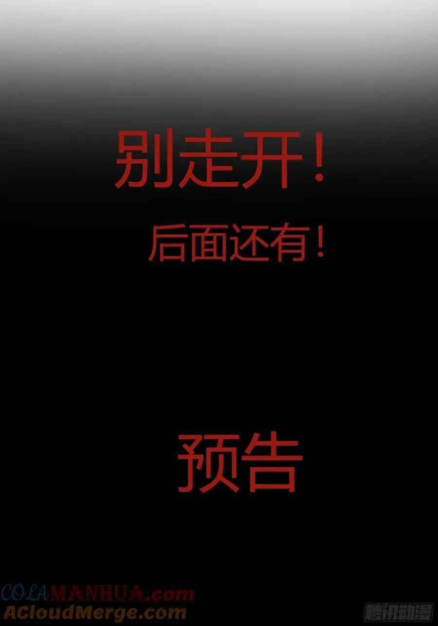 公告4