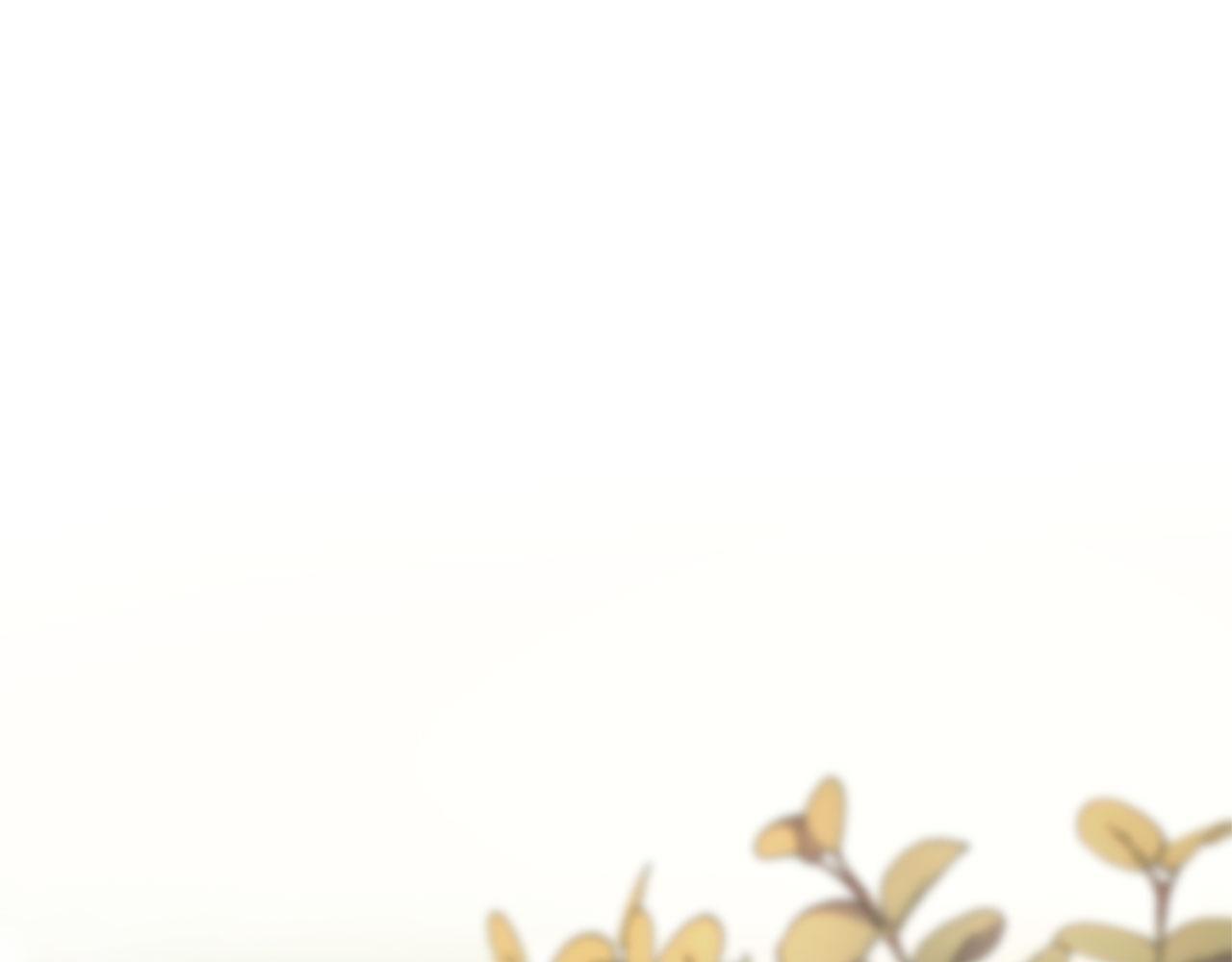 第31话 找上门4