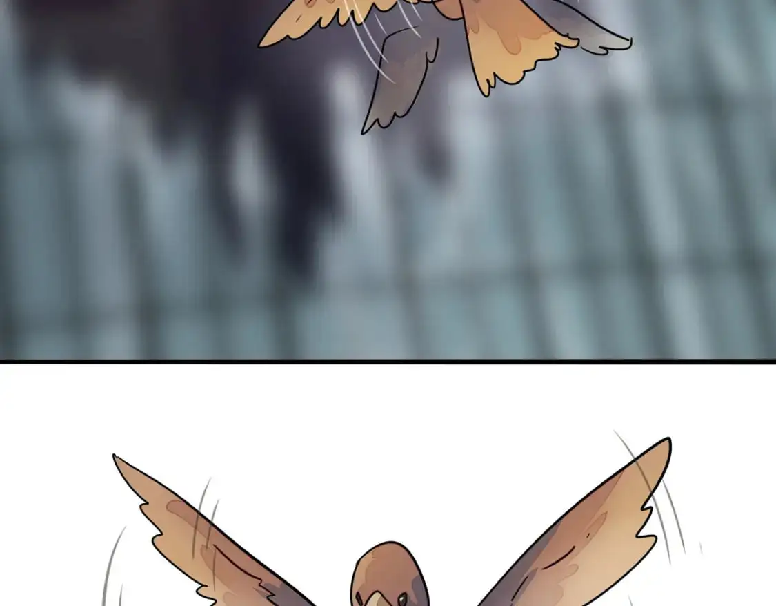 4934