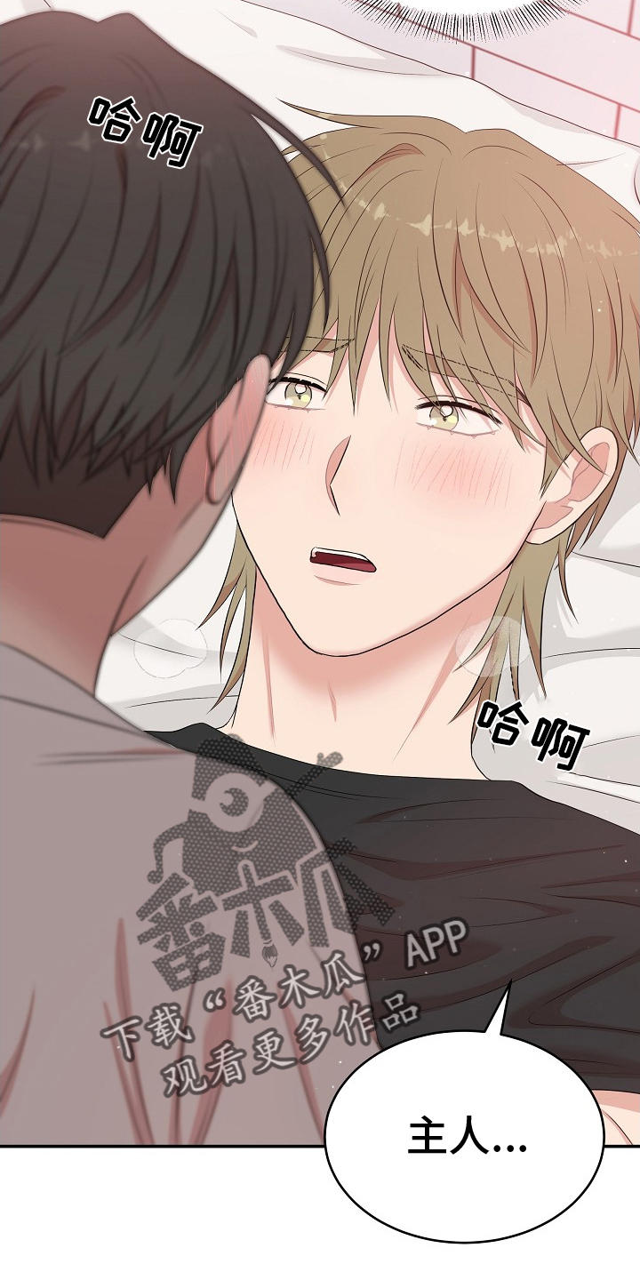 机器人男友1-16集完整版漫画,第54话2图