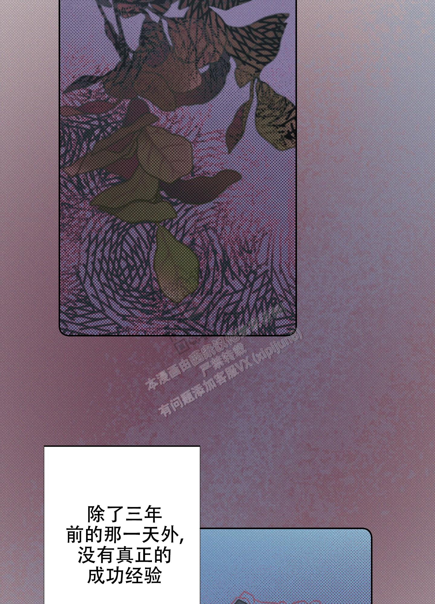十二月是什么座 星座漫画,第25话5图
