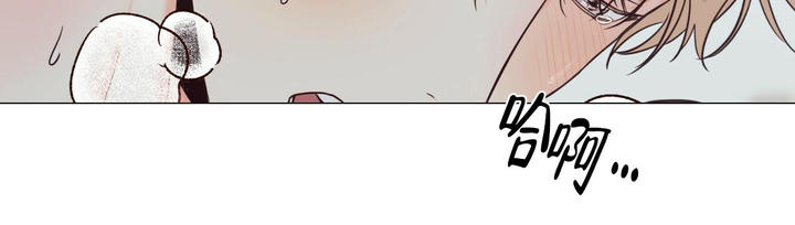 危险的便利店完整版39漫画,第146话4图