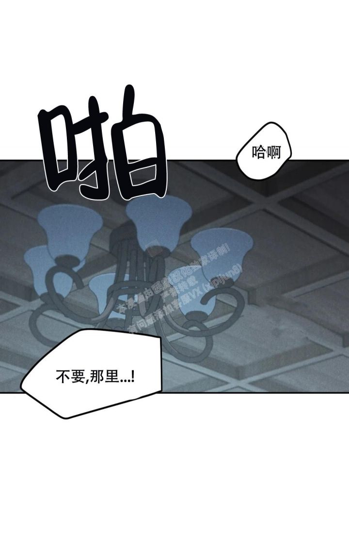 限量发行金条一套有多少克漫画,第59话1图