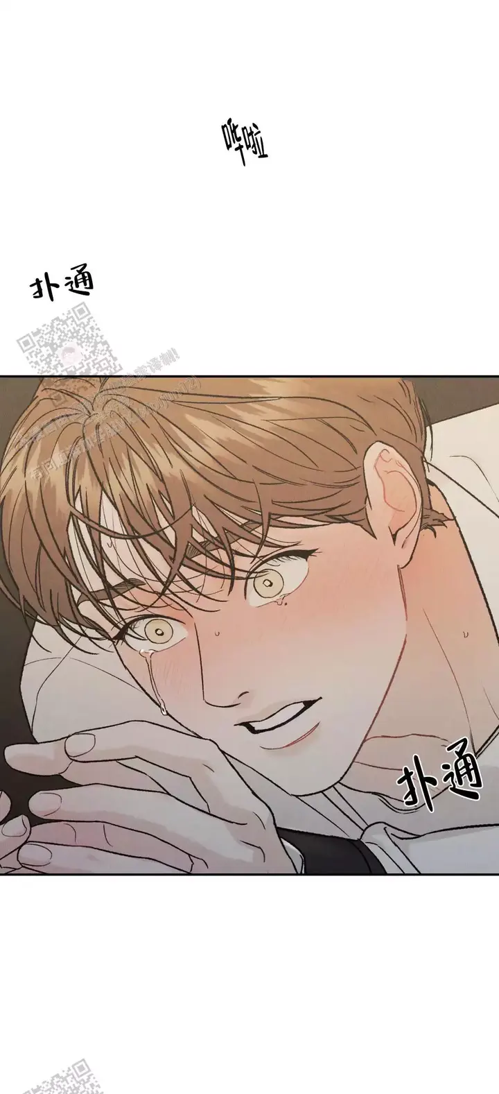 限量发行藏品介绍漫画,第101话5图