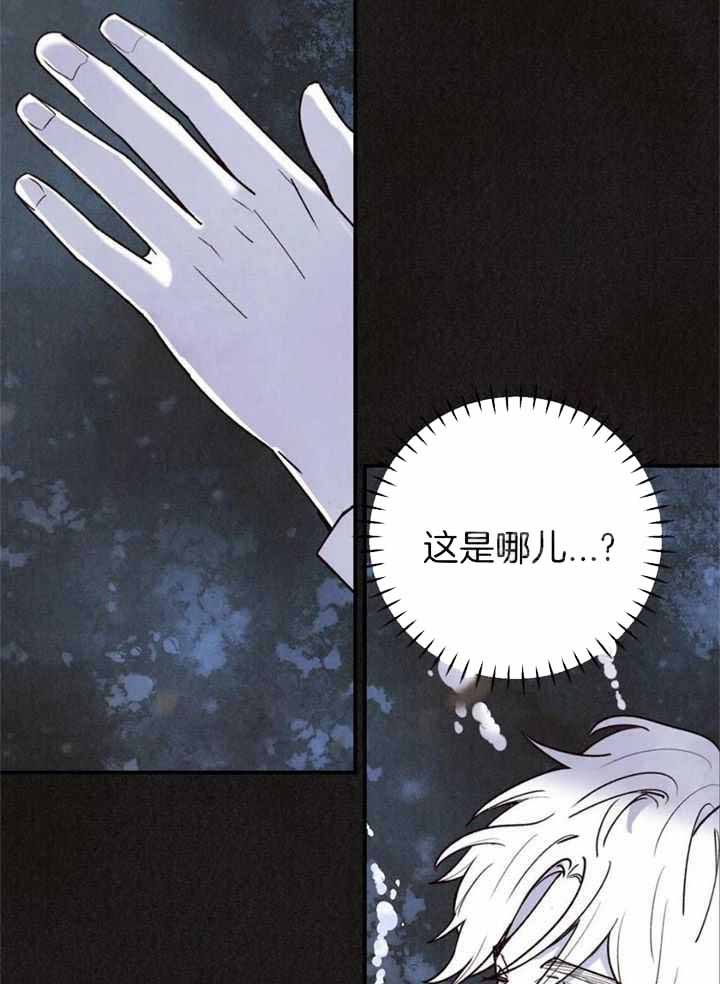 偏偏喜欢你电影免费观看金晨漫画,第161话5图