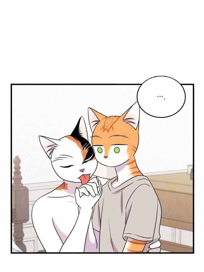 蓝色计划兵力对比漫画,第99话3图