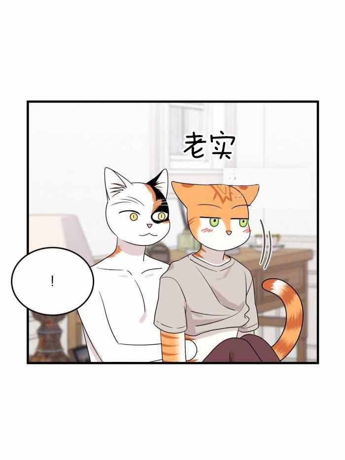 蓝色计划兵力对比漫画,第99话1图