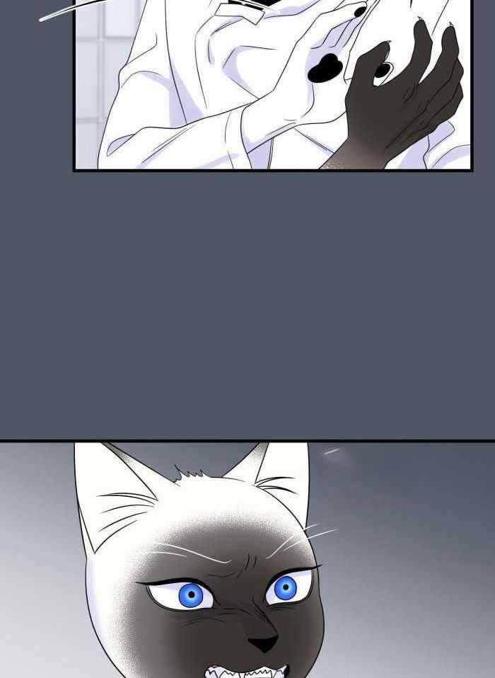 蓝色计划兵力对比漫画,第82话4图