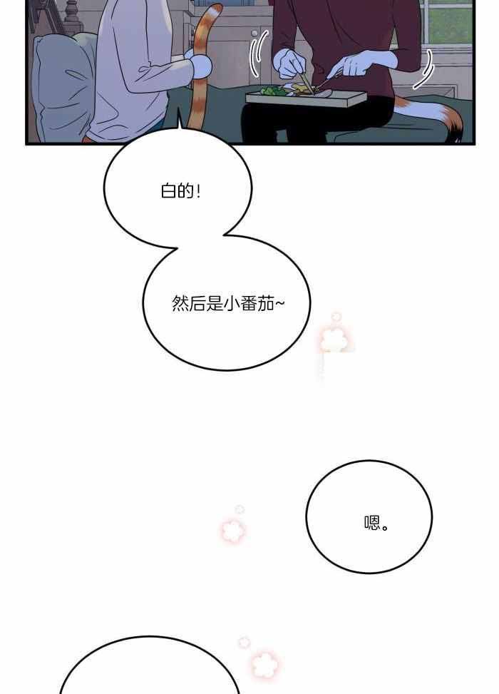 蓝色计划兵力对比漫画,第71话5图