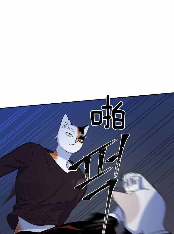 蓝色计划兵力对比漫画,第39话1图