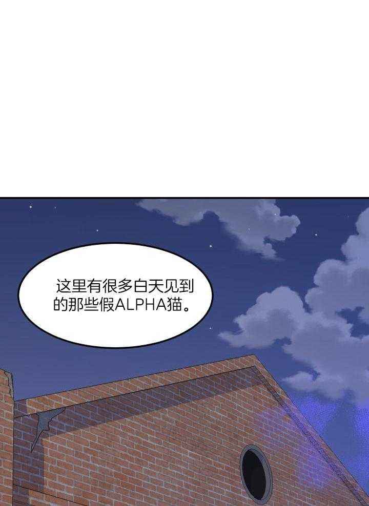 蓝色计划兵力对比漫画,第36话4图