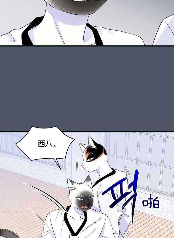 蓝色计划兵力对比漫画,第82话5图