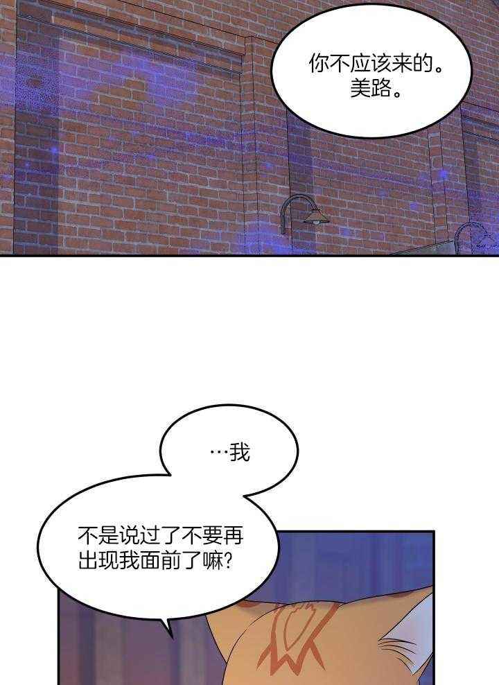 蓝色计划兵力对比漫画,第36话5图