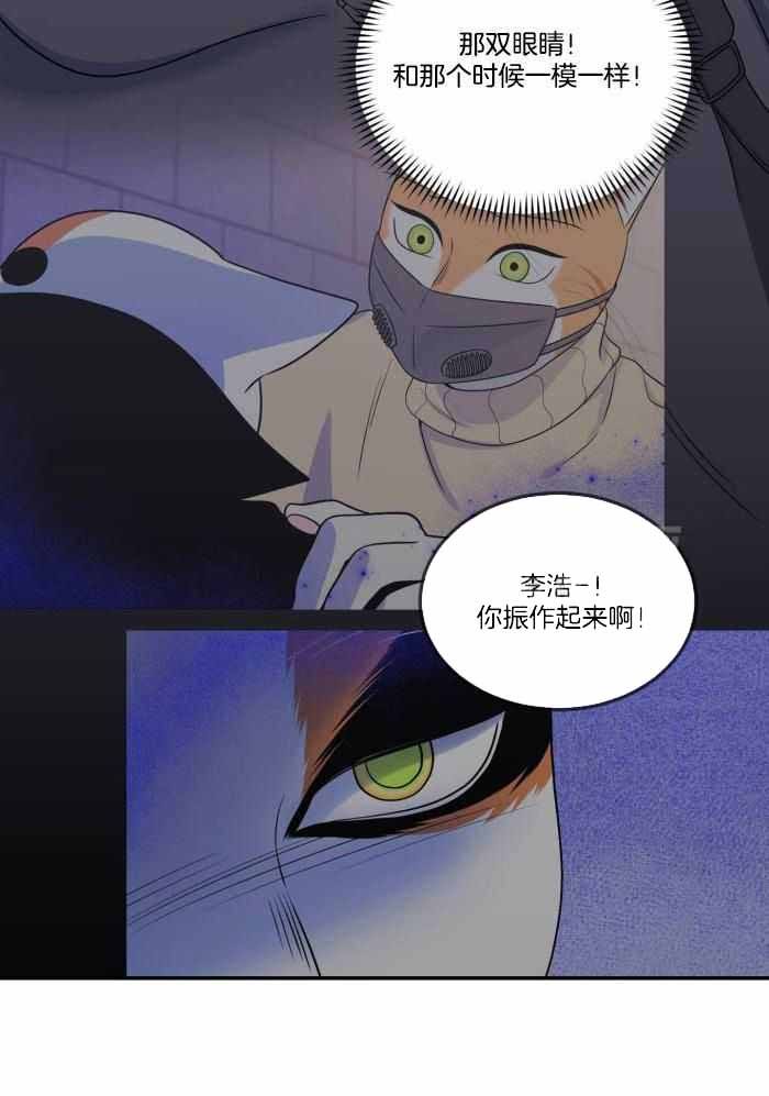 蓝色计划兵力对比漫画,第67话2图