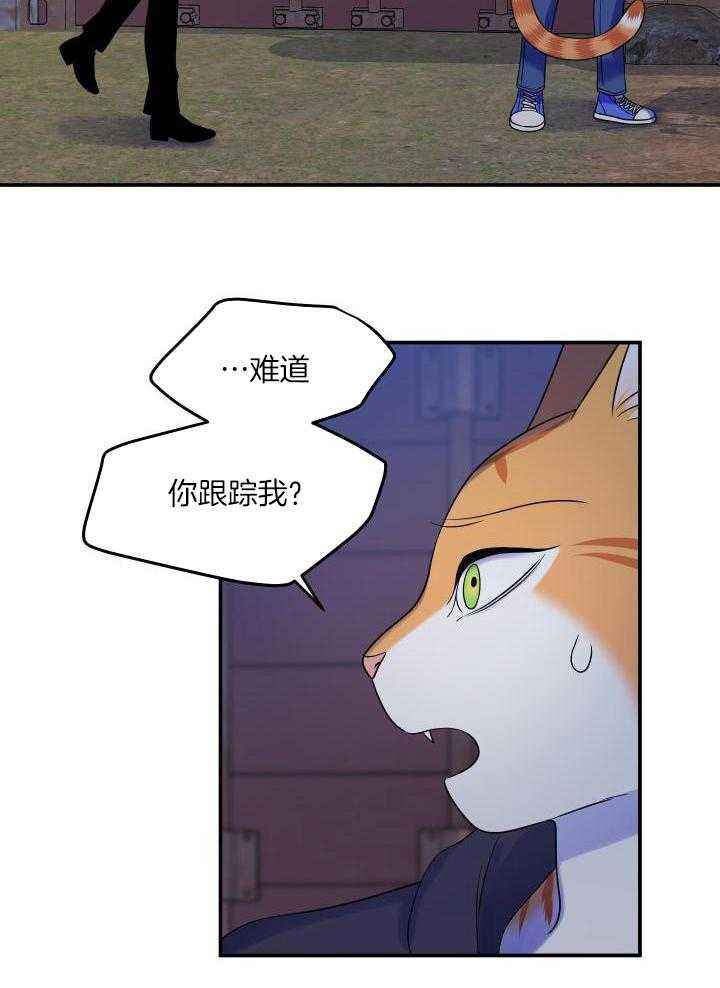 蓝色计划兵力对比漫画,第36话2图