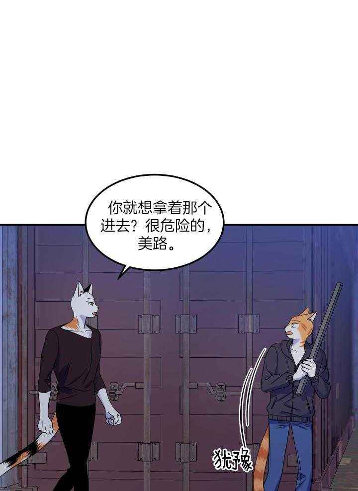 蓝色计划兵力对比漫画,第36话1图