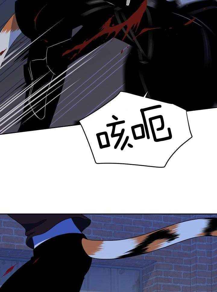 蓝色计划兵力对比漫画,第39话2图