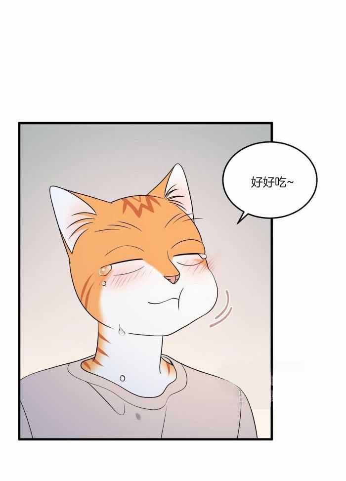 蓝色计划兵力对比漫画,第71话2图