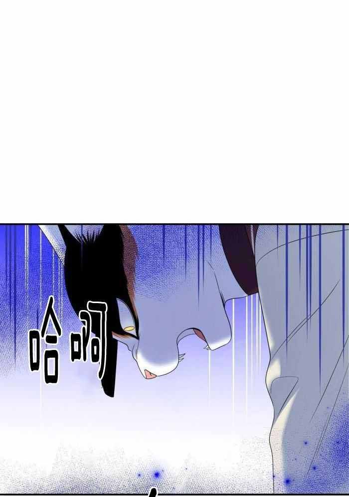 蓝色计划兵力对比漫画,第67话3图