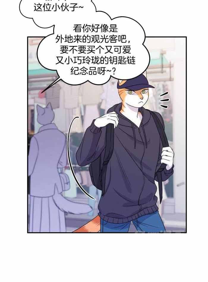 蓝色计划兵力对比漫画,第61话5图