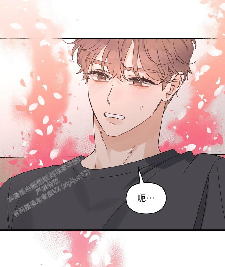 欧米伽情结又叫什么漫画,第78话2图
