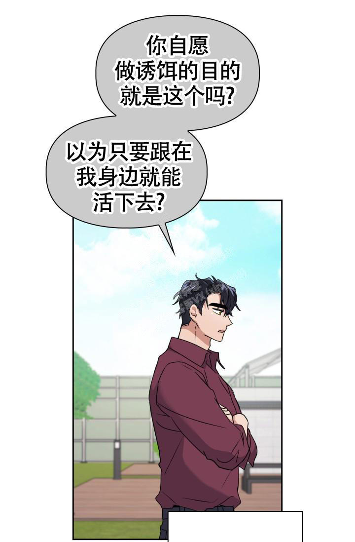 诱饵之花韩漫漫画,第31话5图